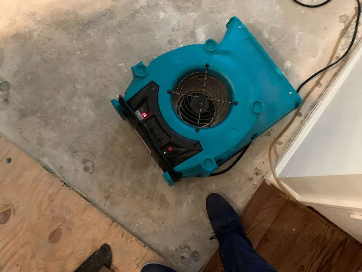 Air mover drying subfloor during Leak Detection & Repair in Great Falls